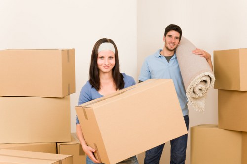 Professional van and man service handling delivery in Tooting