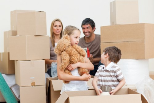 Professional van transport for homes and small businesses in Tooting